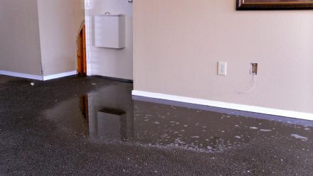 Rain Damage on carpet