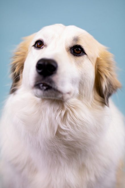 Luna Headshot